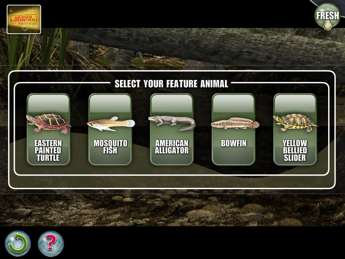 Pick the animal, some are wrong.